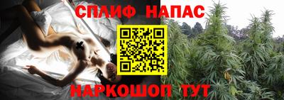 амф Старая Купавна