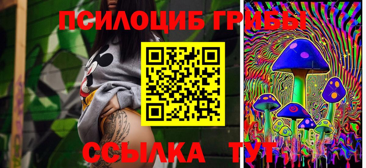 Псилоцибиновые грибы Psilocybe Тамбов