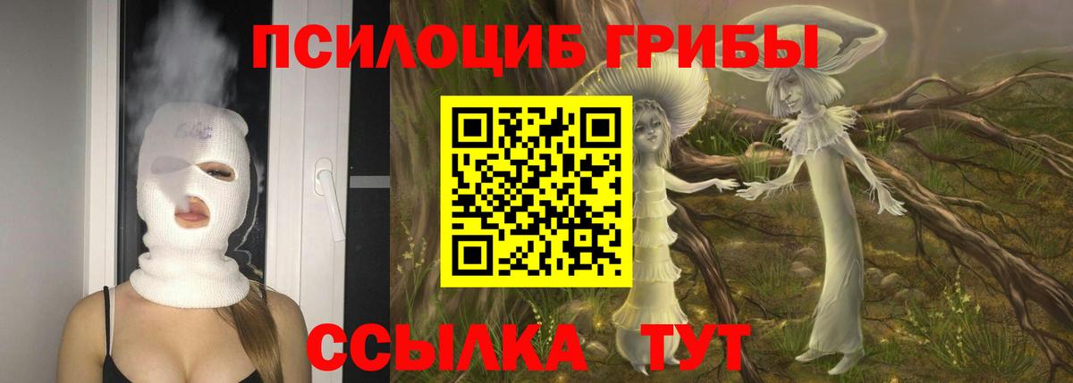 Галлюциногенные грибы прущие грибы  где купить   Тамбов  Вход с VPN  Галлюциногенные грибы MAGIC MUSHROOMS 
